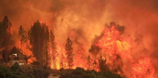 El incendio de California ¡se hizo tornado!