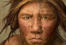 Expertos encontraron a un humano descendiente directo de dos especies