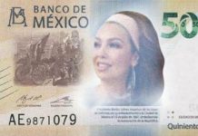 Proponen a Thalía y Palazuelos para el nuevo billete de 500