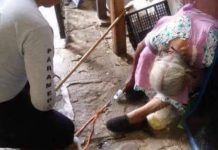 Abuelita murió trabajando en el mercado de Oaxaca