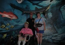 Acuario Mazatlán ya es parada oficial de turistas navieros