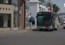 Inspección de Vialidad encuentra a chofer drogado