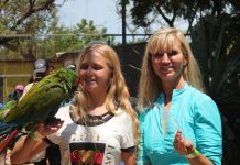 Acuario Mazatlán ya es parada oficial de turistas navieros