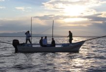 Muestreo poblacional de camarón en la Bahía de Santa María
