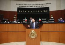 *Nombra el senado a Mario Zamora como Presidente de la Comisión de Reforma Agraria *
