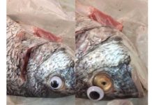 Venden pescado con ojos falsos para ocultar su mal estado