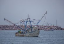 Reanudan actividades marítimas