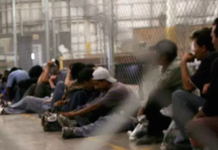 Policía Estatal de Nuevo León detiene a 210 migrantes centroamericanos