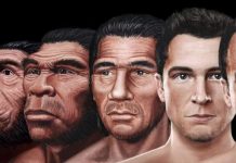 Científicos revelan como podria ser el rostro del ‘hombre del futuro’
