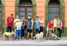 DIF ofrece terapia canina para niños autistas con apoyo de entrenador