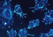 La terapia premiada con el Nobel que curó de cáncer a ex presidente norteamericano