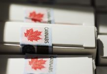 Canadá, primer país industrializado en legalizar la mariguana de uso recreativo