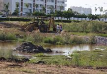 A punto de erradicar 60 mil aves de Mazatlán:CEMAZ