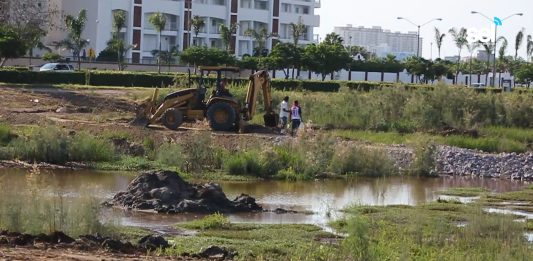 A punto de erradicar 60 mil aves de Mazatlán:CEMAZ