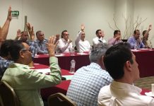 Elige Codesin a nuevo Presidente del Comité