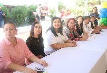 CASOS DE CÁNCER CUBIERTOS POR EL FONDO DE PROTECCIÓN CONTRA GASTOS CATASTRÓFICOS: ROSA ELENA MILLÁN