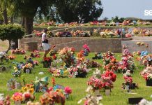 Buen Avance en Limpieza de Panteones para “Día de Muertos”
