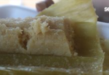 ¿Ya has probado los exquisitos tamales de elote?