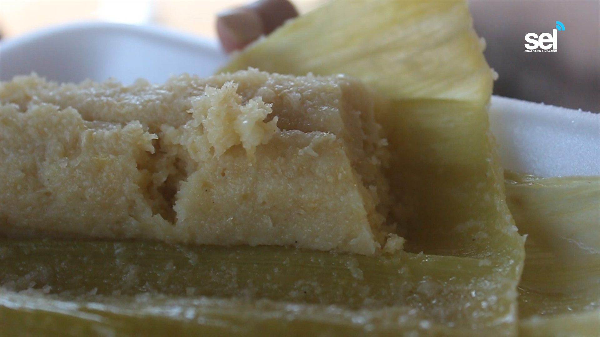 Ya has probado los exquisitos tamales de elote? | Sinaloa en Linea
