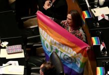 Aprueba Senado mismos derechos en IMSS e ISSSTE a parejas gay