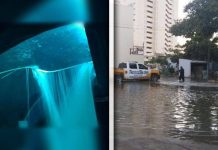 #MAZATLÁN ENCUENTRAN A SEGUNDO IMPLICADO EN RUPTURA DEL TIBURONARIO