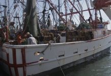 Salen con un pavo a altamar