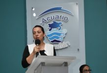 Un desafío para Sinaloa la preservación del jaguar