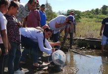 Un millón de alevines a pescadores de El Rosario
