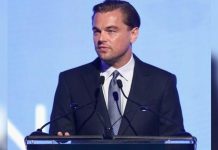 Preservación de la vaquita marina, sin apoyo económico de Leonardo DiCaprio