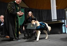 Perro se gradúa de una maestría en la Universidad de Clarkson en NY