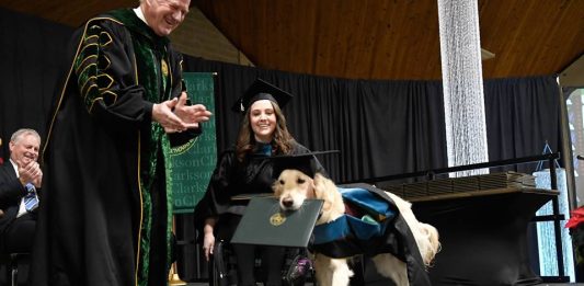 Perro se gradúa de una maestría en la Universidad de Clarkson en NY