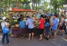 De tres navieros disfrutan del puerto