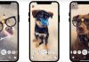 Snapchat no se rinde y lanza filtros especiales para perros y gatos