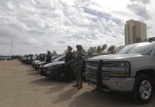 Esperan “Saldo Blanco” en Operativo “Guadalupe Reyes”