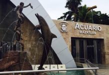 #MAZATLÁN?No cerrará Acuario ante nuevo Parque Central??