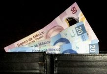 Publican en Diario Oficial los nuevos salarios mínimos para 2019