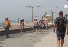 Van seis cruceros que nos visitan