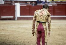 Por la protección de los animales, no habrá feria taurina en Medellín