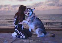 #MAZATLÁN? Zelda y su dueña, tienen una conexión?♥