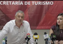 Los Mejores Vinos Tintos y Blancos en Mazatlán