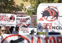 Manifestación Contra Corridas de Toros en Mazatlán