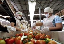 En el 2018 Sinaloa creció en sus exportaciones