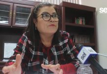 Procuradora Investigará Ausencia de Alcalde de Mazatlán por Partido de Béisbol