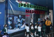 Acuario Mazatlán contará con el Medusario más grande de México