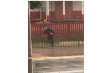 Chilenos cruzando fronteras: medio inglés viraliza a desafortunado niño de Neltume