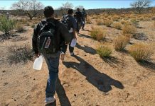 EE.UU. detiene a 25 inmigrantes en un intento masivo de cruce ilegal en Tijuana