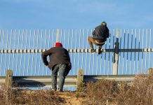 La migración centroamericana no va a disminuir: Sánchez Cordero