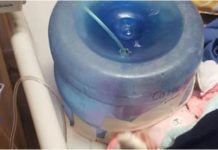 Hospital usa garrafón de agua como incubadora en Sonora; gobernadora despide a directora