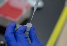 AMLO acusa a ‘mafia de la ciencia’ de supuesta campaña contra el Conacyt