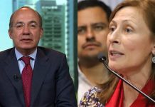 ‘Calderón da pena jugando al analista’; Tatiana Clouthier lo tunde en redes